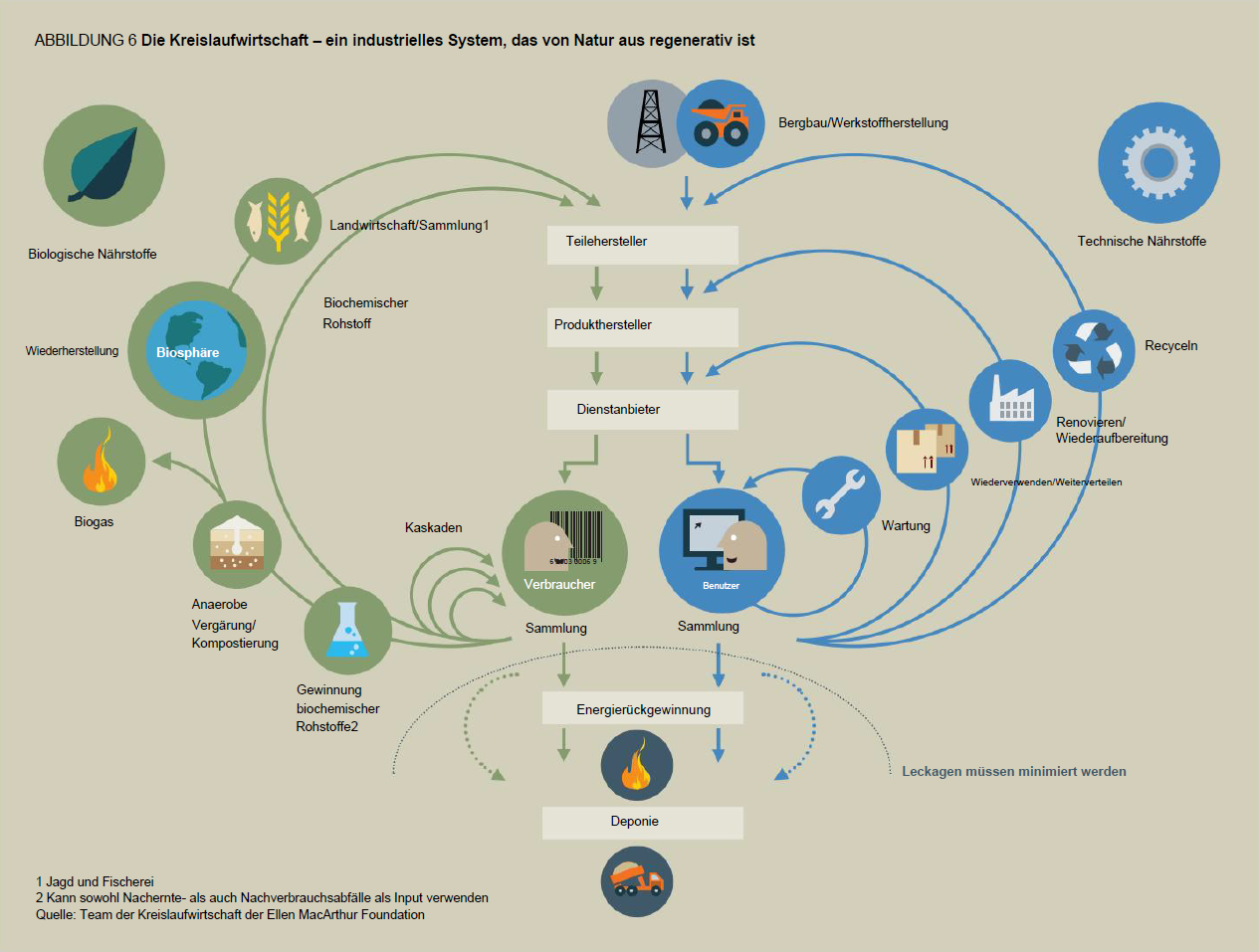 Butterfly-Diagramm der Circular Economy nach Ellen MacArthur Foundation: Technischer und biologischer Kreislauf